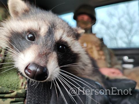 ���� �� �������