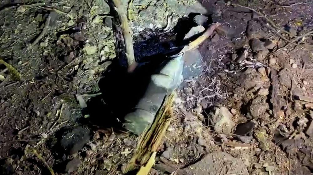 �������� ����� ��� �� ������� � ����� - ������ �� ����������