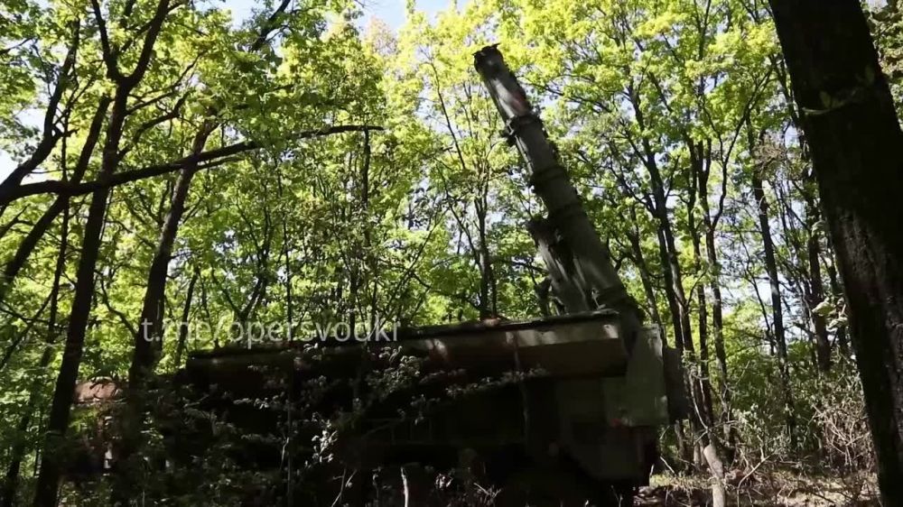 ������ ���� "��������" �� �������� �����������