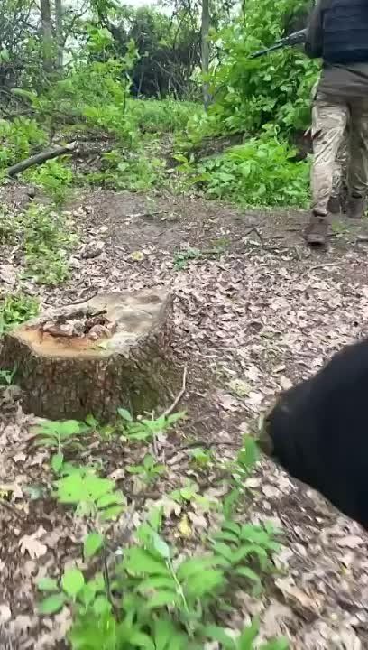 ��� �������� ����� � ������� �� � ������ ��������. �� ���� ������� ��������� ��������� �� ������� �� �����, ������...