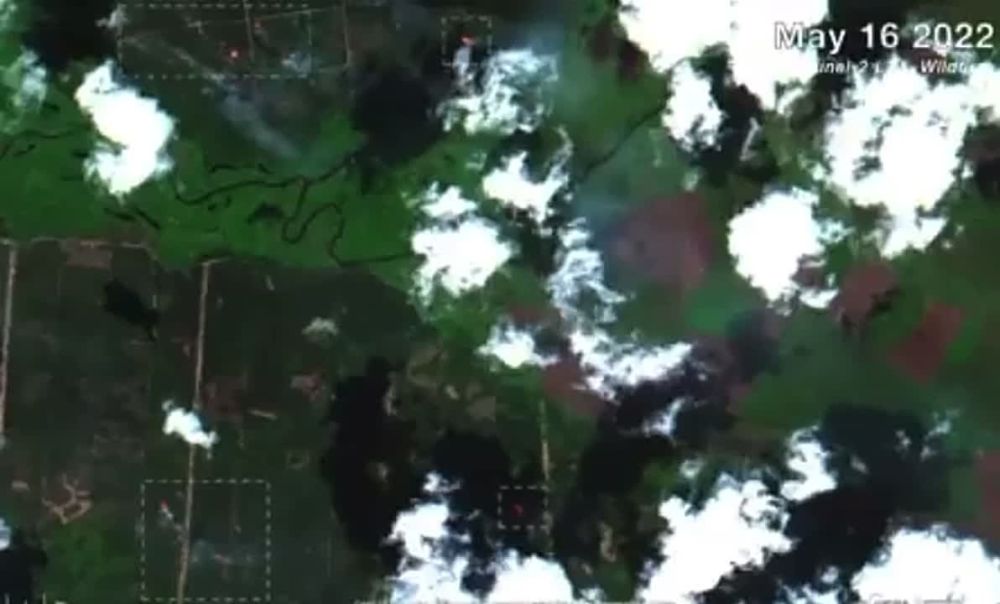 �� ������ ����������� ������� ������� � ����������� ������� ����� ����� ���������������