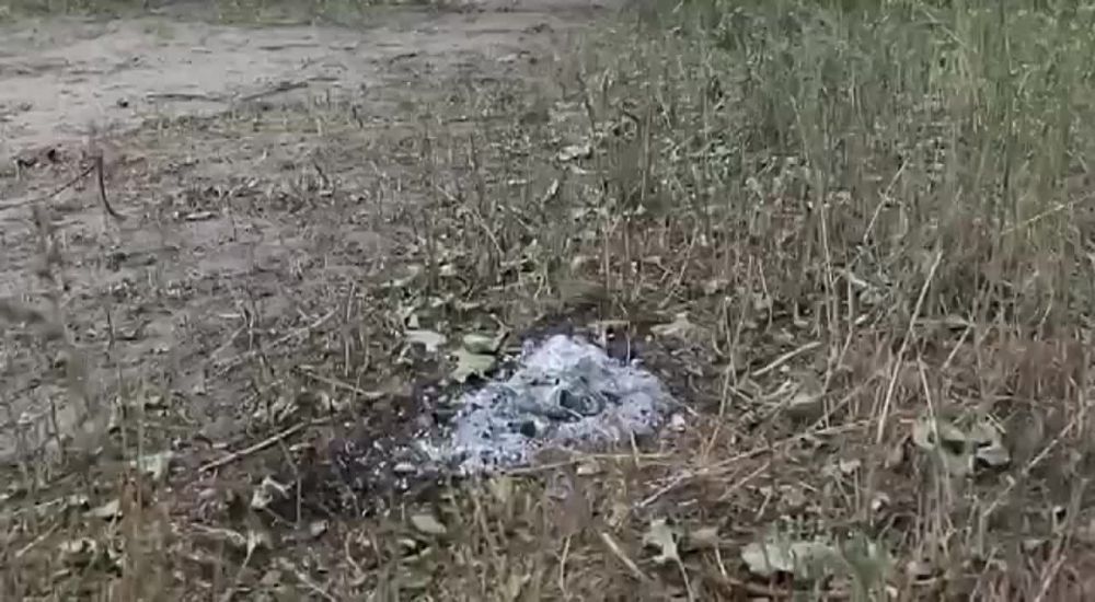 ������������ ���������� ����� �������� ����� ���������� ���������. ������ � ���������� �����