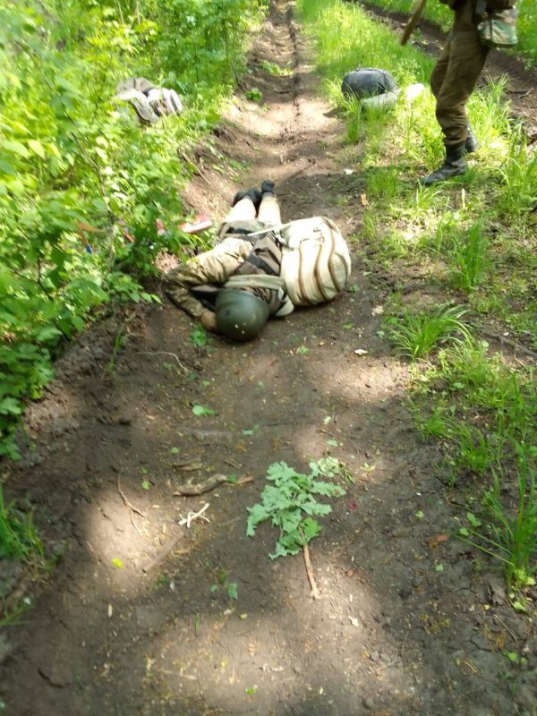 ������ ���, ��������������� ���������� ��������� �� �������� �����������