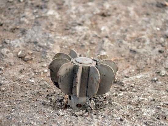 ООН обнародовала свои списки убитых и раненых на Украине и Донбассе