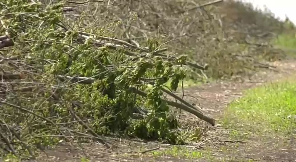 � ��������� ����������� ������� ��������� � ������������� ����������������