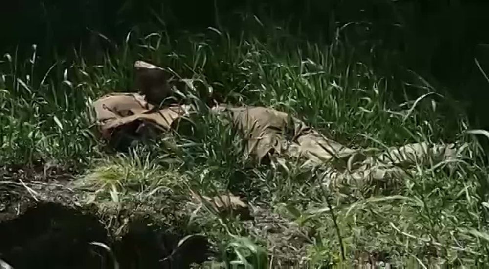 ������������ ��������� � ������� ����������� �������� � �������� �������� ����������. ����� �����, �������� �����