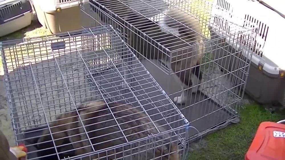 ���������� �������������� �� ���������� ������ ������� ����������� ������� ���������� ������������ �� �� ���������� ���������� ���������, � ��� ����� ��� �������� ����������������� ����������� ������