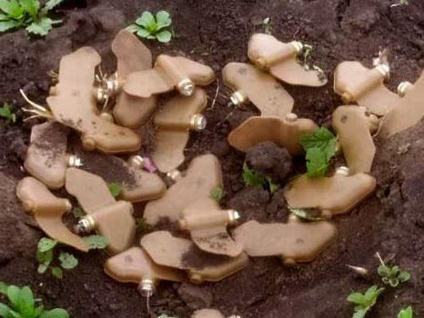 Саперы Росгвардии обезвредили более 600 противопехотных мин "Лепесток" в Харьковской области