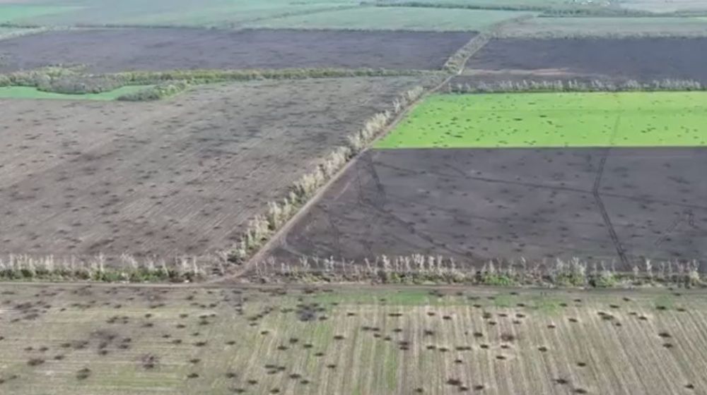 ����������� ���� � ��������� � ����������� �������