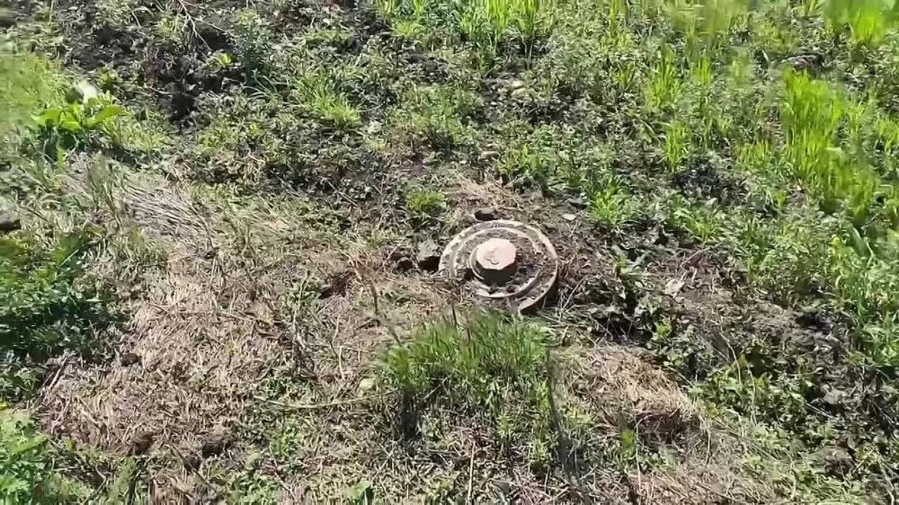 �������������� ���������� ����� ��������� �������� ������ ���������� �������������� ���������� ��������?���� ���������� ������� ����������� ������� �� ��������������� ����������� ���