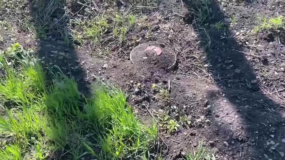 ���������� ������� ���������� �������������� ���������� ����������� �������, ���������� ��� �������� �� ��