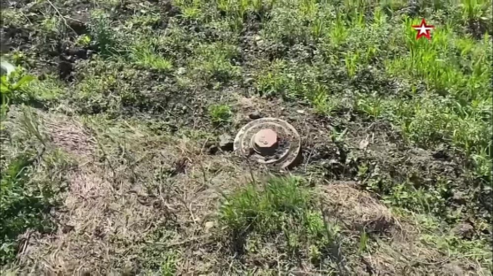 ������� �������� ��� ����������� ���������� ��������?���� ���������� ������� ����������� ������� �� ��������������� ����������� ���