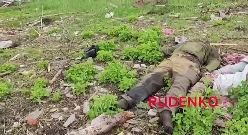 ���������� � ���� ��� ���������