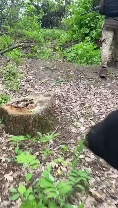 ��������� ���-����� ��� � ����������� ������� ����� ����� ������ "������������" ��� ���������� ��� ������� �����, ������� ����� ������� ���������� ���