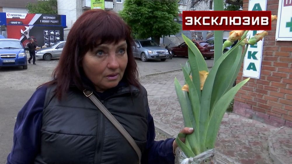 ���������� ��� �� �����: ���������� �������� ������������� ���������� �������