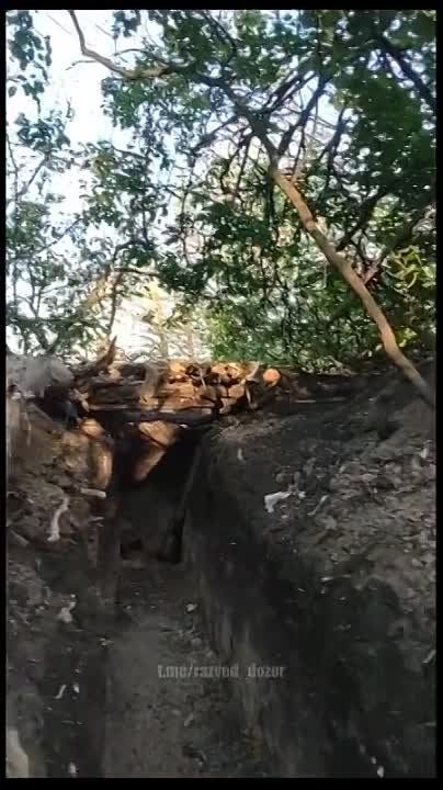 �� �� ������ �� �������� ����������� � � ��� ���������� ������� �������� ��������