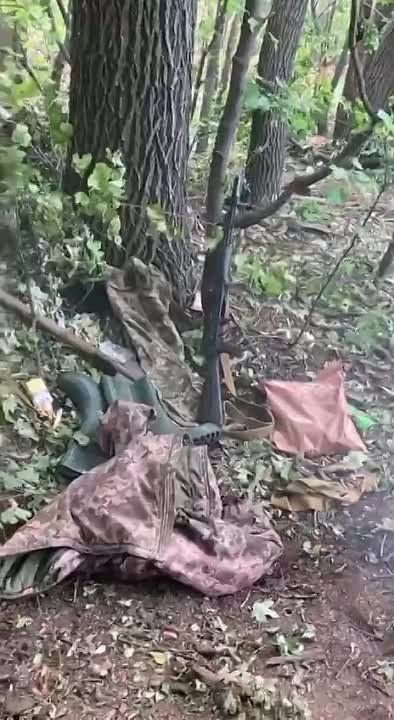 ������������ �������� ����������� ��������������� ��� �� �������� ����������� � ��� ������������ ������ ��������� � ���������