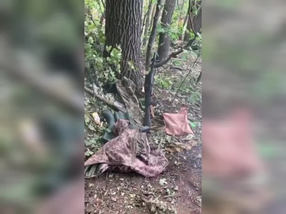 ������������ �������� ����������� �� �������� �����������, ��� ��� ������ ������������ ������ ���������� �������� �� ���������