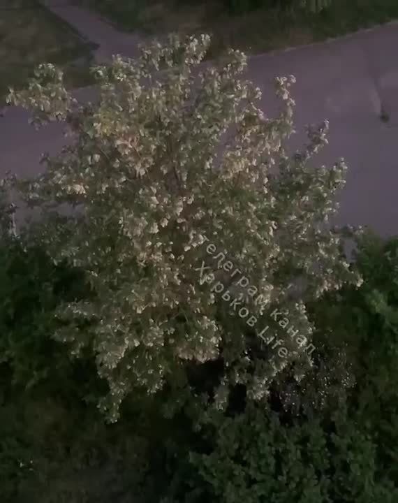 � �������� ������