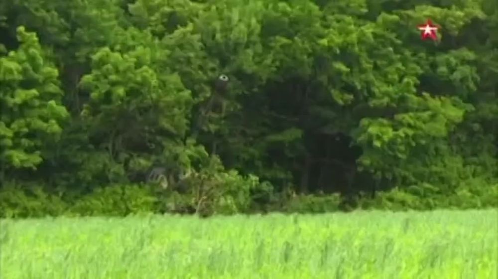 ���������� 2�19 "����-�" ���� �� ������� ��� � ����������� �������