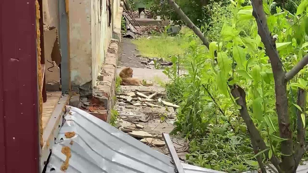 ����������� ��������� ����� ���������� ����������� � ����