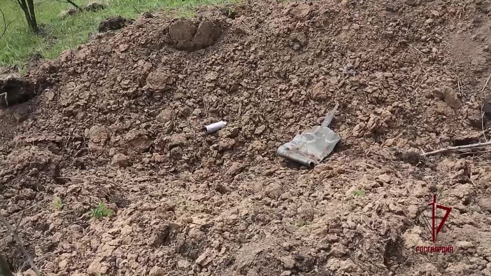 �� ������ ������������ ���������� ����� ������ ��������������� �����������, ������� ���������� � ���������� ��������� �������������� ���������� ������� ����������� �������