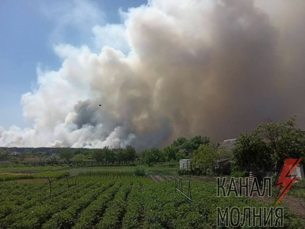 �� �������� ����������� "����"