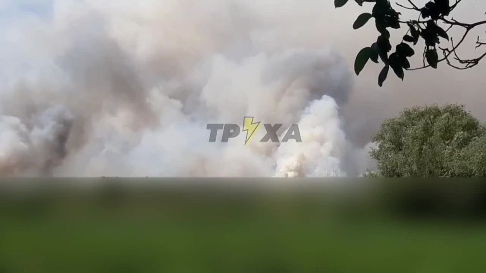 �������, ����� ����� ����� ����� ���� ���������� �� �������� ������������ ���������