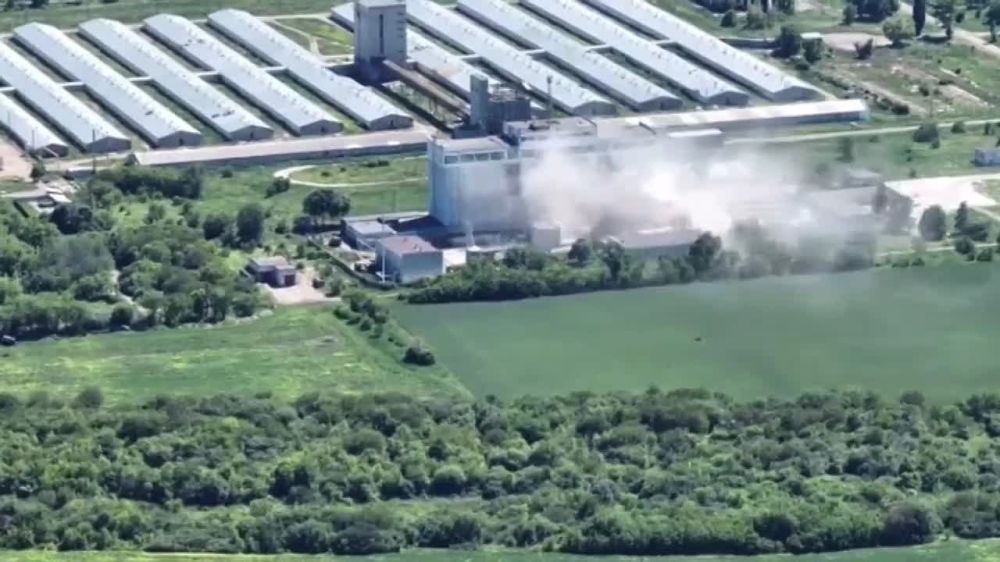 ���������� ���������� ���� ������� ������������� ������� �� �� � ����������� �������