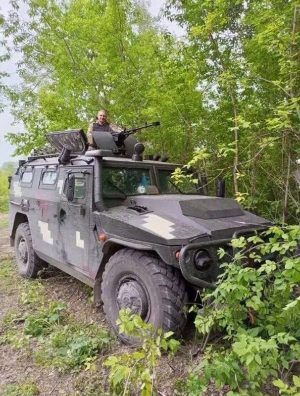 ��� 233115 �����-� ��ͻ �� ������ � ���