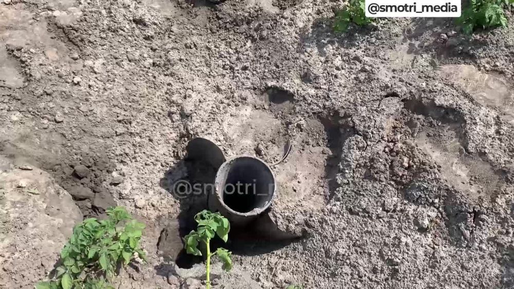 ���������� �. �������� ����������� ������� ������������ �� ��������� �� ������� ���