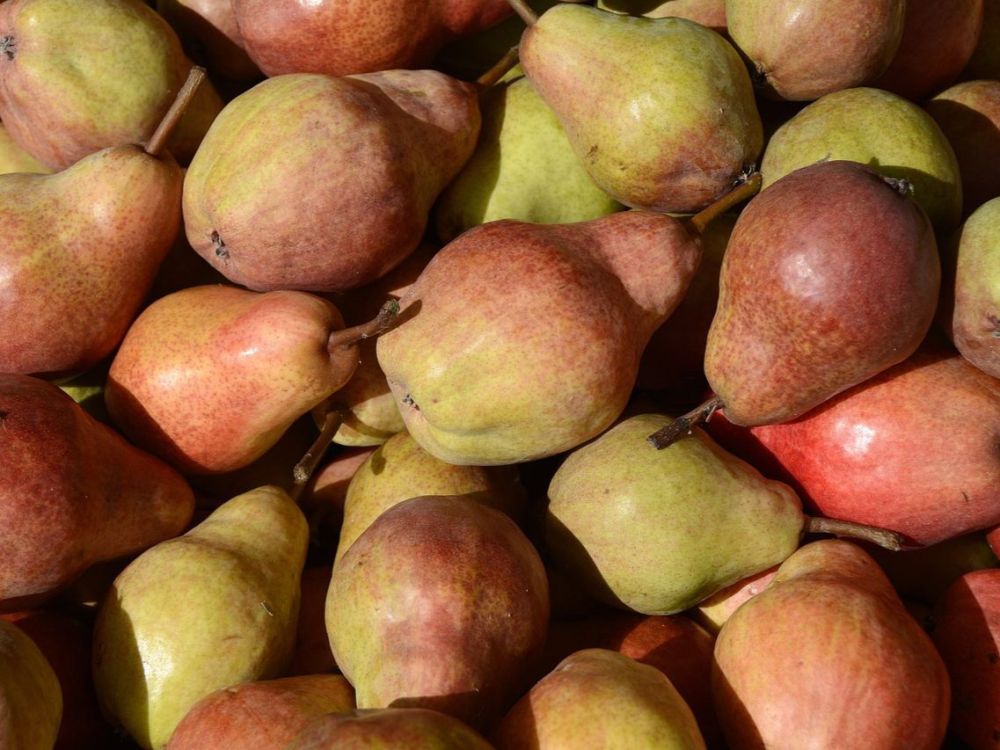 ���-7 ������ ����, ������� �������� �� ����� �����