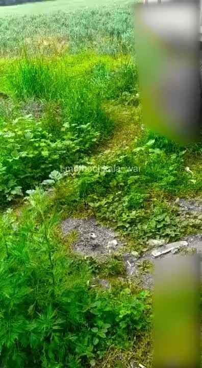 ���������� ��-25 �������� �� �������� �����������