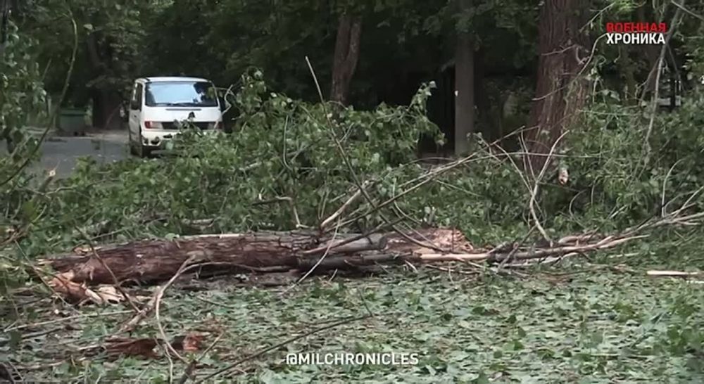 �� �������� ��� ��������� ���� � ��������� ������� ���, ������� � 13 �� 14 ���� ���� �������� ������ ������� ��������