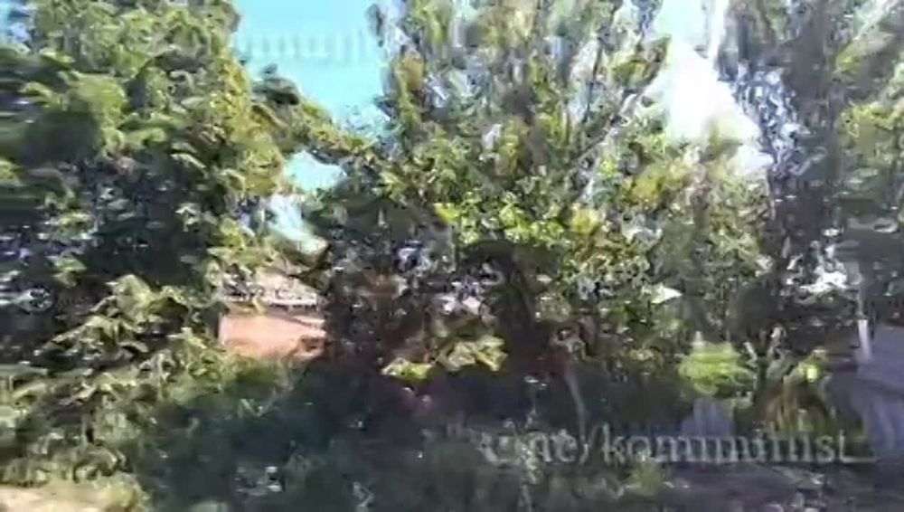 �� ����������� ����������� ���� ������������ � ���������� ������������ ������ ��������� ������!