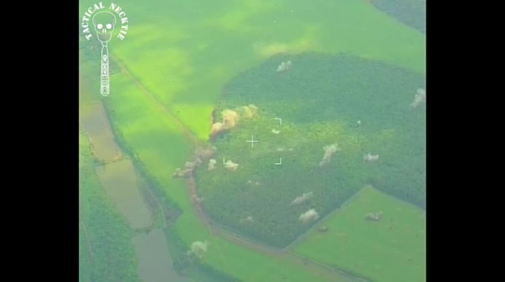 ���������� ��������� ����������� � ������� �������� �������� �� ����������� �����������