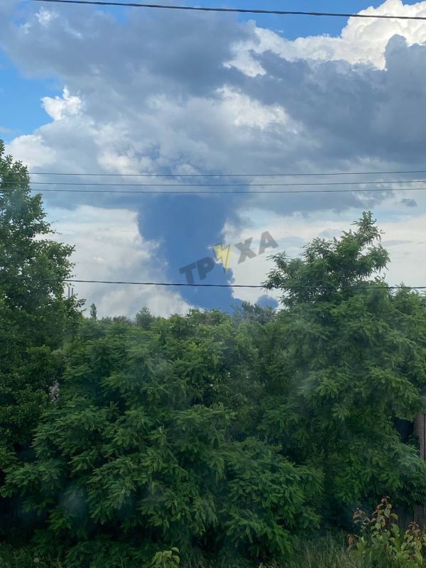 � ������� ������ ����� ������ ����� ���������� ������� - ��������