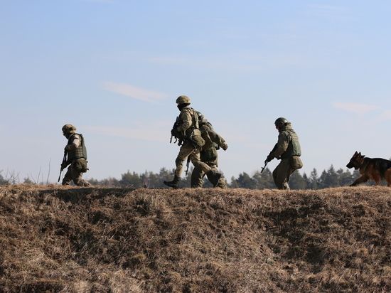 ���������� ���������� ������� � ���� � ��������� �������������