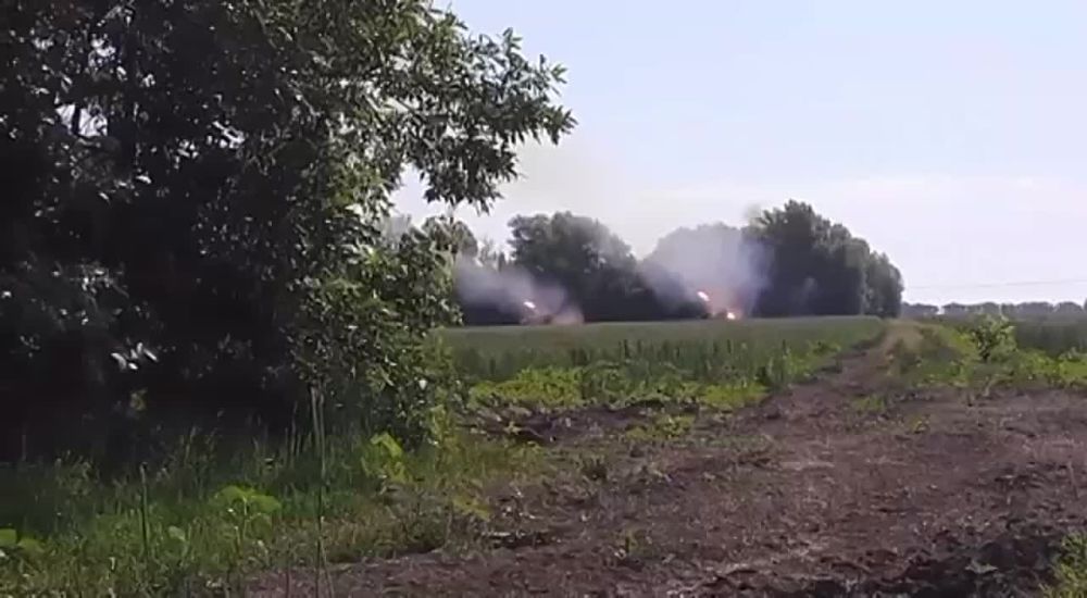 ������� ���� ���� �� ������ �� ������ ���