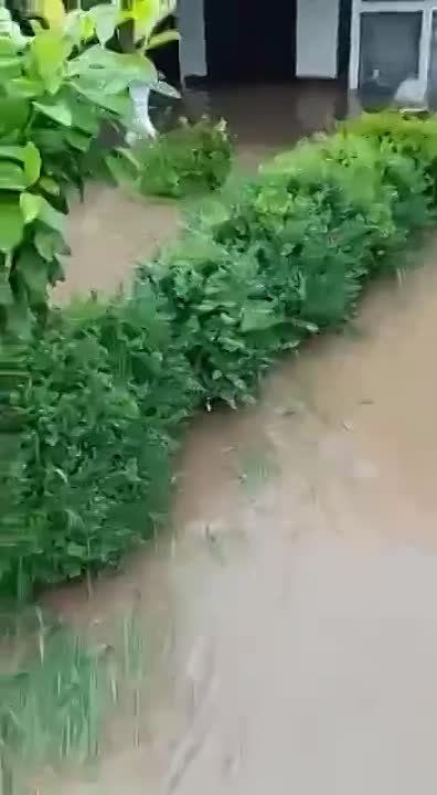 ������� ����� ������� � ������� � �����