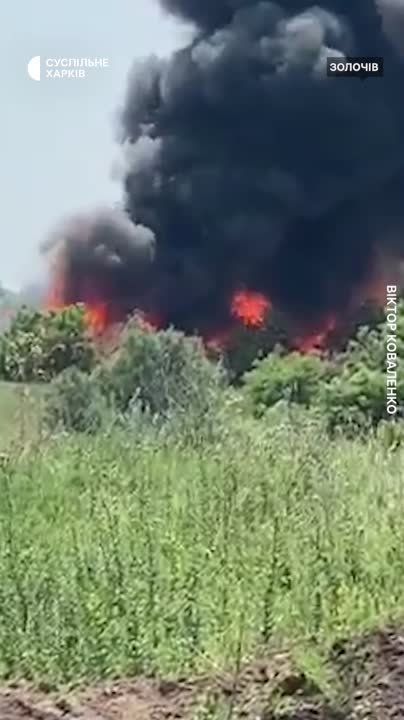 29 ���� ���� �� �� ������� �������� ���� �� ������ ������� ���������� ������ � ������ ������� ����������� �������