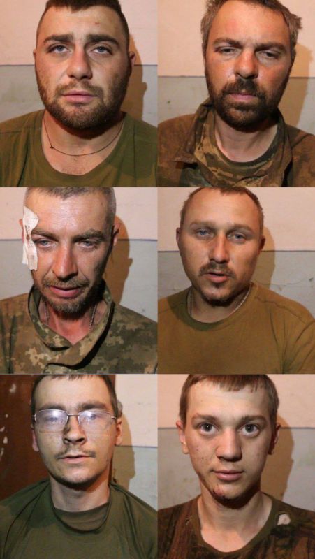 Уважаемый @vysokygovorit опубликовал фото новой партии украинских пленных, сдавшихся на Изюмском фронте