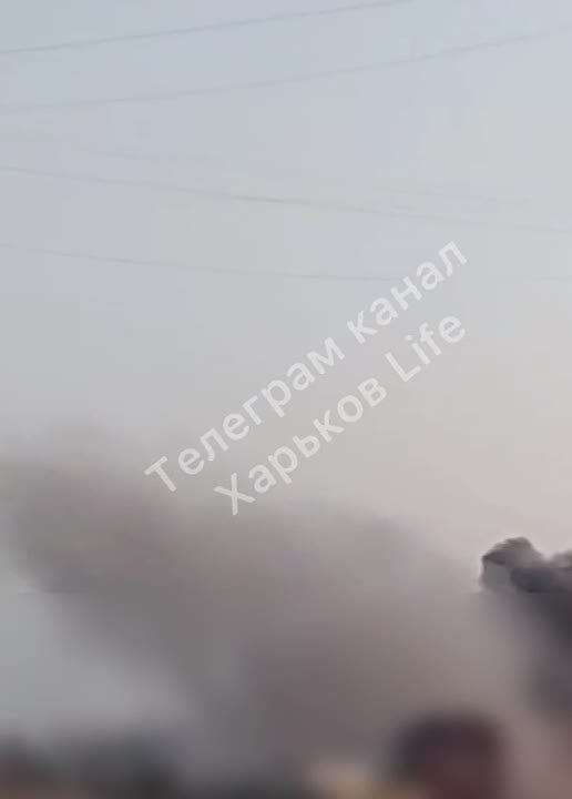 �� �������� ���� �������� �����