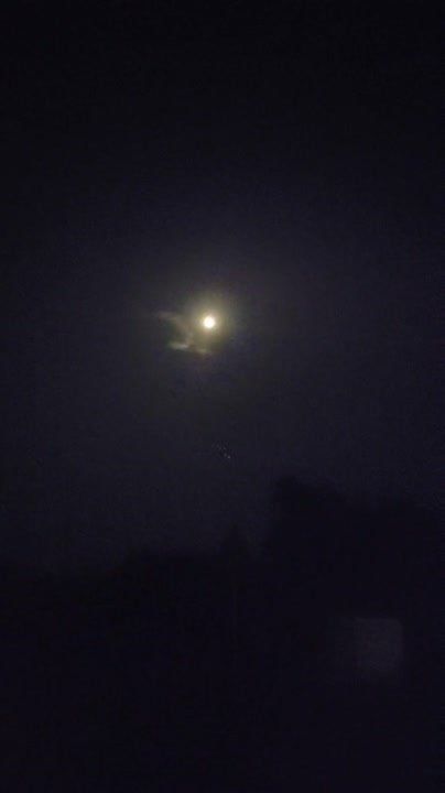 ����� ������ "����������" �� ��������� �� ����� ��� � ��������