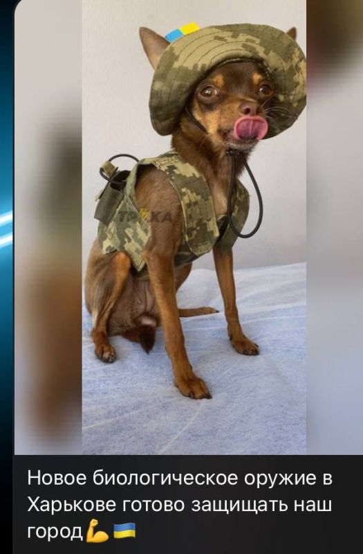 ������, � ����� ��� ��������� �������������� ������, ��� ����������� �������, ������� � ����� ������������ �����