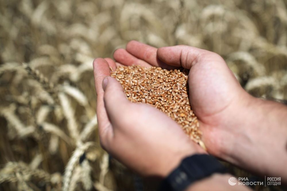 � ����������� ������� ������� ���� ������