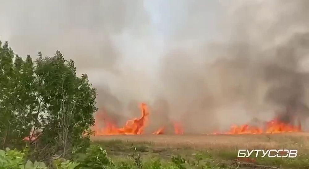 #Раскладка. Харьковская область, горящие поля..