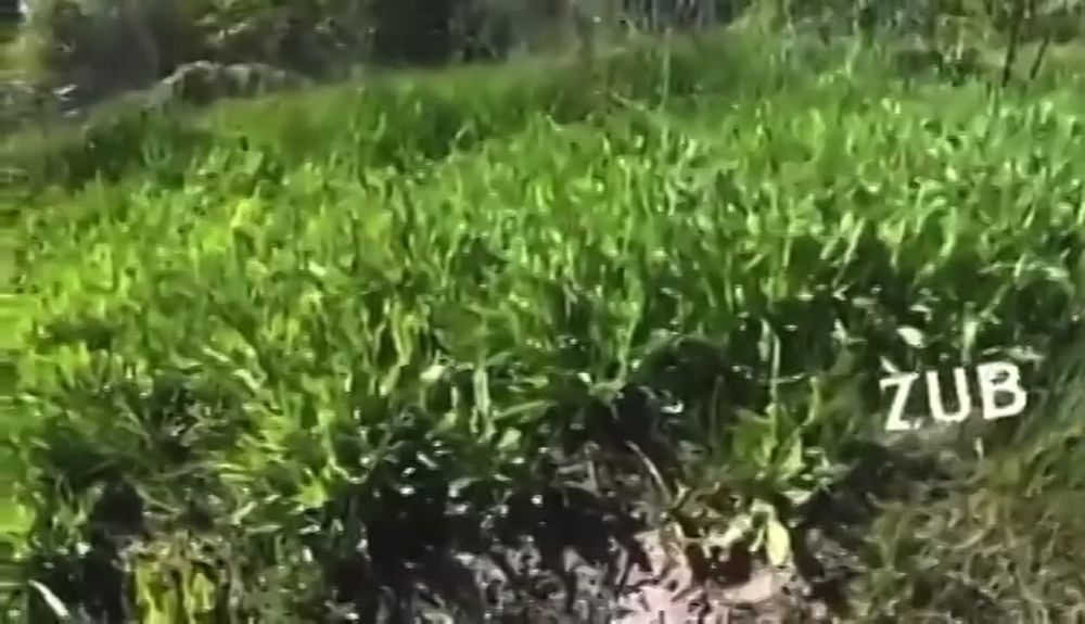 ������� ������ ���������� ������� � ��������� �������� ���������� �� ��� � ������ ��������