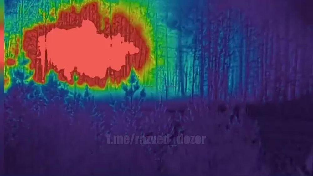 ������ ����� �� ������� ��� � ���������� ����������� �������