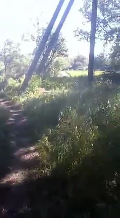 ����������� �������� ��������� ��������� ���